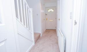 Intellect Suites