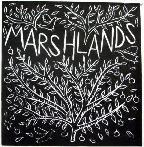 Marshlands Apartment - 刘易斯