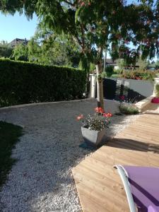 LAlbizia Gîte Climatisé St Maurice