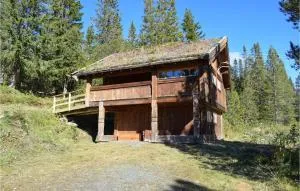 Stallen 2 - Åmotsdal