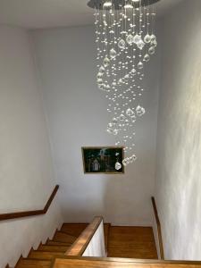 CASA DON lângă Iulius Mall