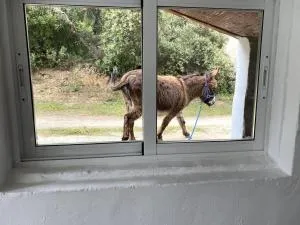 Your Private Paradise in the Adalucian Hills - Zagra