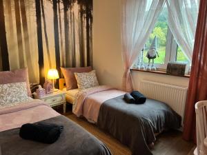 FireSalamander Apartament z prywatną sauną