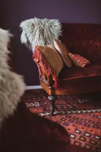 Catogården - Boutique Home & Activity Centre