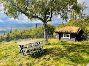 Vasethytta - cabin with a lovely view