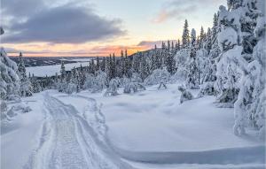 Åreskutans Fjällstuga