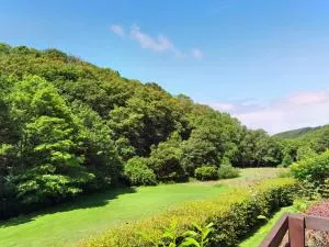 Gorgeous Cottage at Crackington Haven, near Bude and Boscastle, Cornwall - Crackington Haven