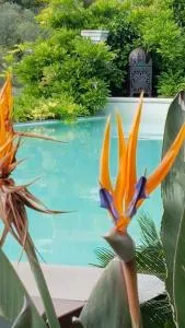 Tenuta Agriturismo IL RISVEGLIO - Gorleri