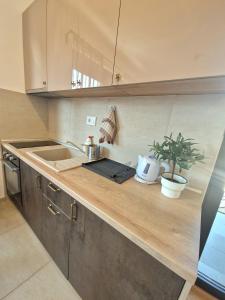 Apartman Segemonija Zlatibor