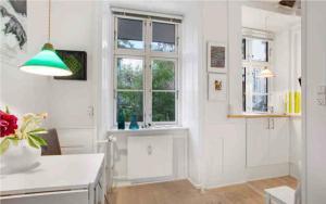 The heart of Copenhagen-Queens Neighbor