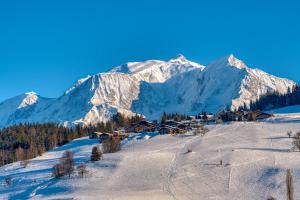 Chalets Chalet Nessa : photos des chambres