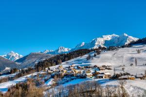 Chalets Chalet Nessa : photos des chambres