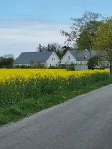 Birkelund BnB - Avernæs