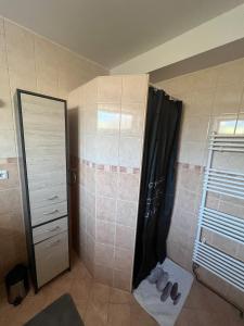 Lovely basement rental