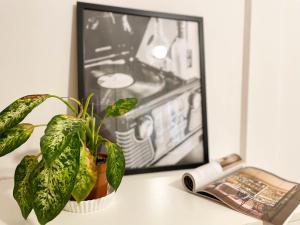 Apartamento con encanto en pleno Casco Antiguo