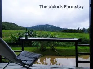 The O'clock Farmstay Khaokor - Ban Thung Samo