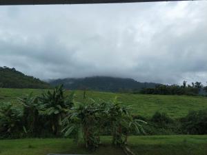 The Oclock Farmstay Khaokor