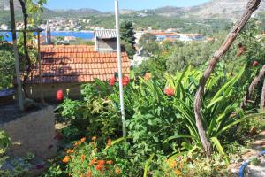 Apartments with a parking space Slano, Dubrovnik - 8540