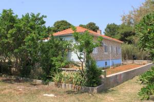 Family friendly seaside apartments Ugljan - 828