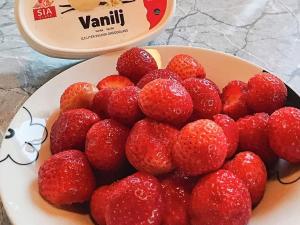 6 person holiday home in SÄLEN-By Traum