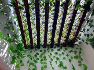 4BR House Old City rooftop jacuzzi AC full Wifi