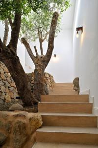 Villas Domaine Valle Doniche : photos des chambres