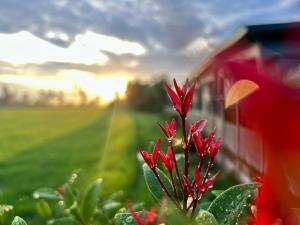 ลานนา รีสอร์ท