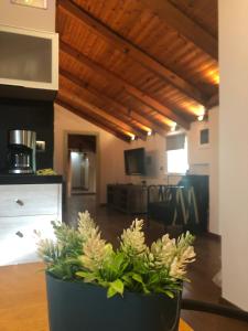 Zacks Piccolo Comfort