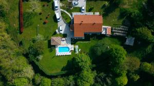 Beautiful villa Morena with private swimming pool near Poreč