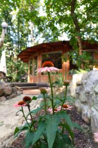 Woeste Hoogte - Groesbeek