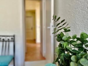 Appartements Residence Place Poullan : photos des chambres