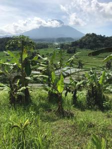 The Green ujung Villa
