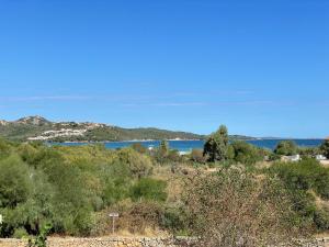 Sardegna Beach Eucalyptus img52