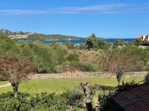 Sardegna Beach Eucalyptus img23
