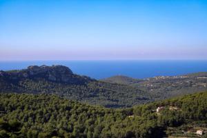 B&B / Chambres d'hotes La Bastide du Beausset-Vieux : Chambre Double - Vue sur Jardin