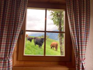 Ferienhütte Sternenblick