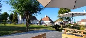 Domaine Ravy-Orchidée - Samerey