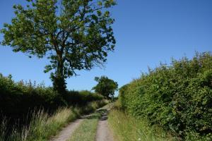 Carriage House, Bruisyard