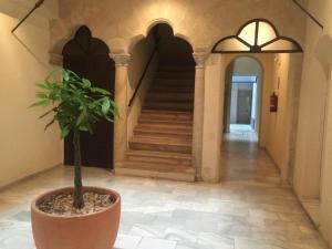 Puerto Luxury Centro