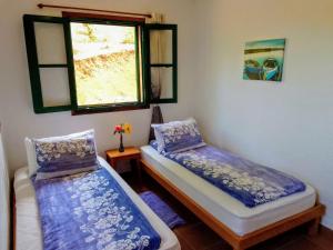 Casa Flor azul