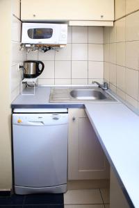 Apartment Lisinski S 