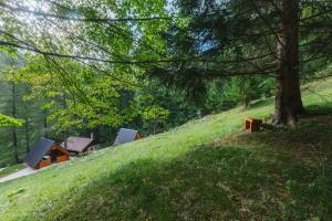 Nature escape woodhouse