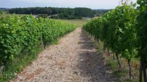 Maisons de vacances Maison de 2 chambres avec jardin clos a Eymet : photos des chambres