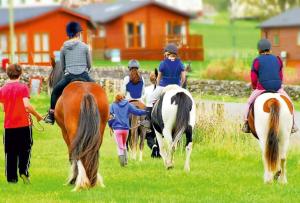 The Hidden Gem in Galloway Forrest