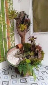 Los Tres Leones - Quindío