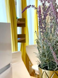 Boutique apartment in the Bucharest city center