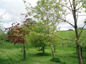 Foxhill Barn