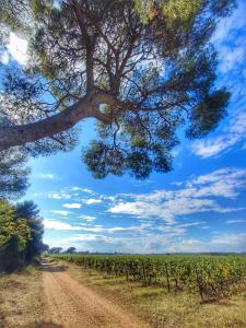 Appartements LE REGORDANE - Appartement 4 personnes - Centre WiFi Cosy : photos des chambres