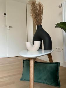 LUXURY LUMINOUS 2bedroom apt CENTER of BRUSSELS