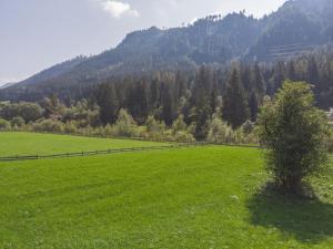 Celine Top 3